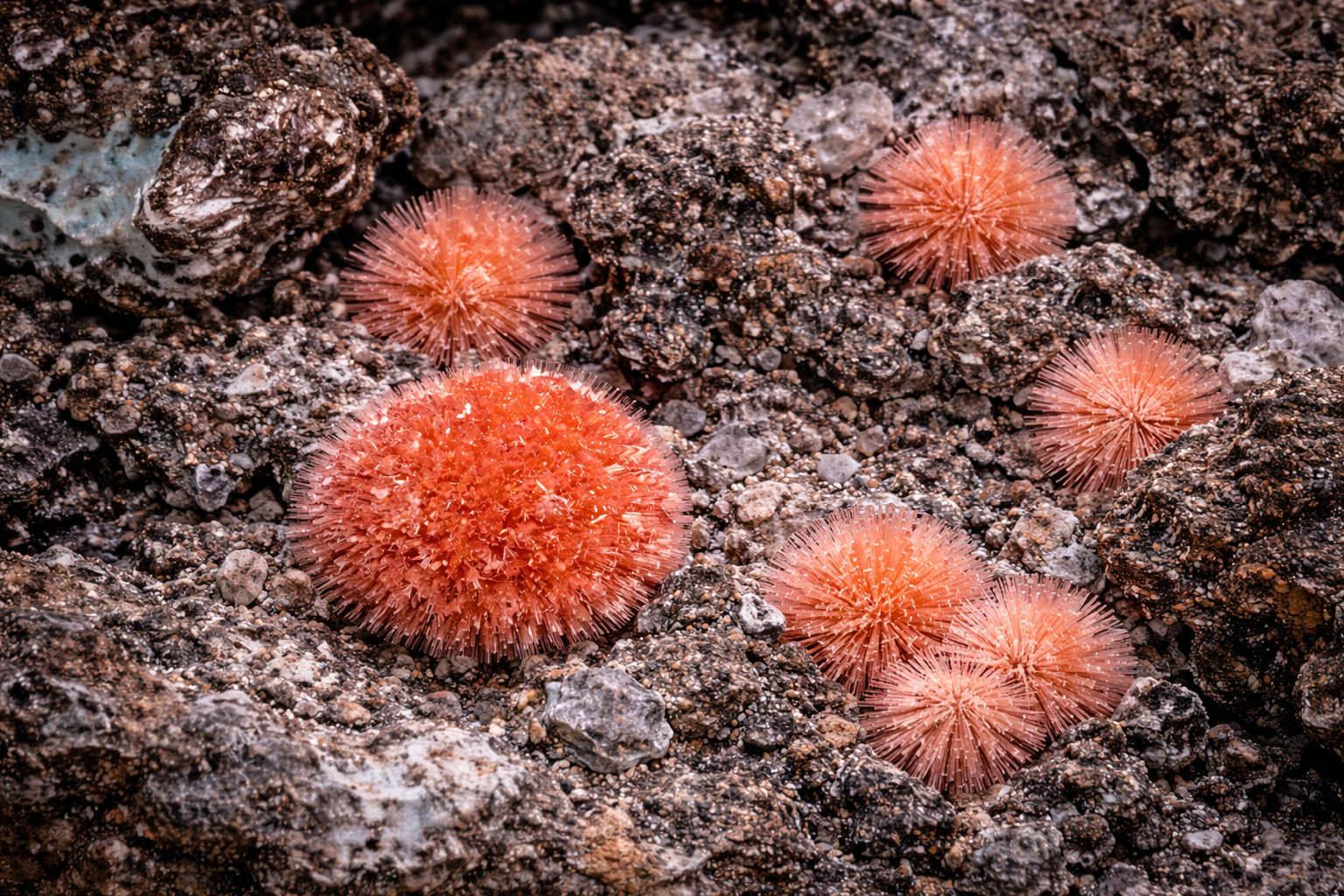 Babanekite